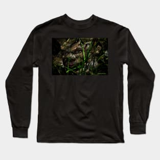 Gargoyle in the Garden Long Sleeve T-Shirt